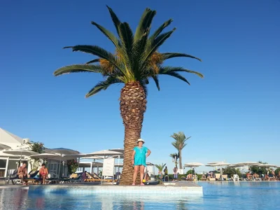 Tunis - Photo 3