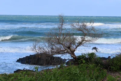 Port St Johns Local Municipality - Photo 3