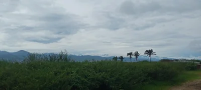 Mutimbuzi - Photo 2