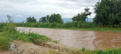 Mutimbuzi - Photo 3