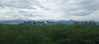Mutimbuzi - Photo 4