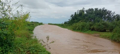 Mutimbuzi - Photo 5