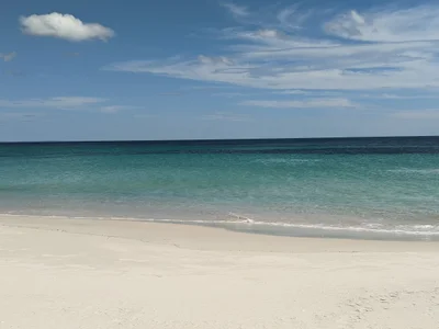 Peppermint Grove Beach - Photo 3