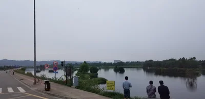 Pengshan County - Photo 2