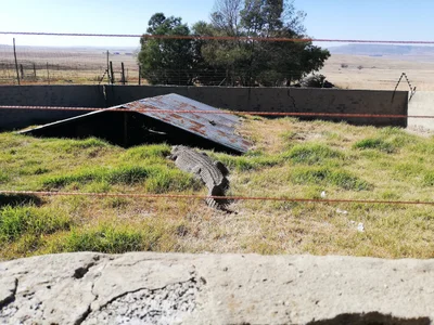 Phumelela Local Municipality - Photo 2