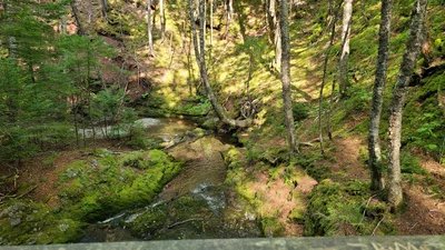 Albert County - Photo 5