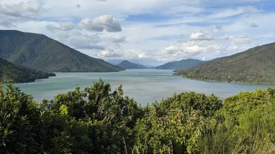 Havelock - Photo 5
