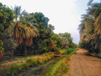 Merowe - Photo 4