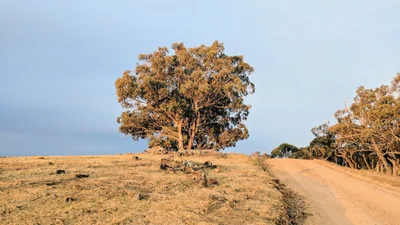 Capertee - Photo 3