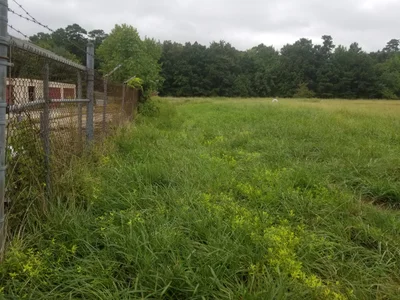 Grasonville - Photo 3