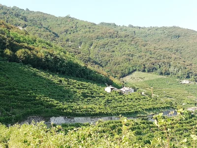 Valdobbiadene - Photo 2