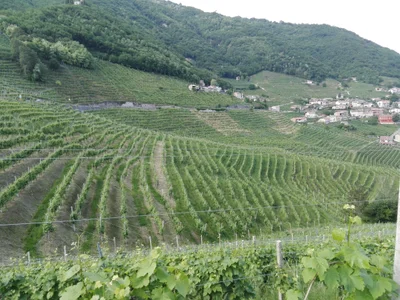 Valdobbiadene - Photo 3