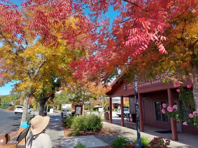 Yountville - Photo 3