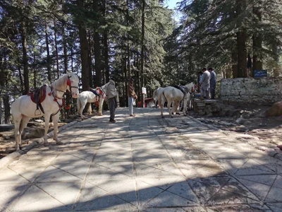New Murree - Photo 3