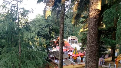 Gangolihat - Photo 4