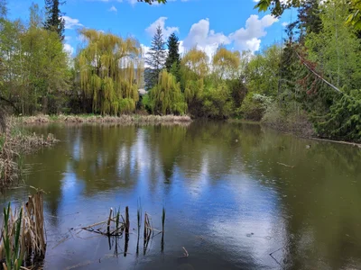 Salmon Arm - Photo 4