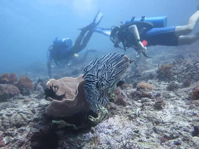 Lembata Island - Photo 5