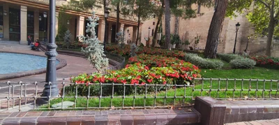 Albacete - Photo 3