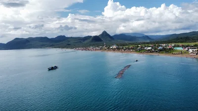 Pasacao - Photo 3