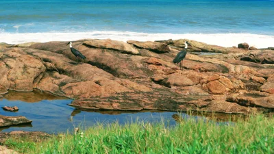 Hibiscus Coast Local Municipality - Photo 5