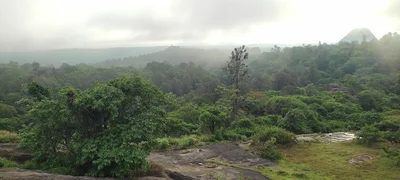 Dyathapura - Photo 4
