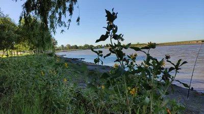 Baradero - Photo 5