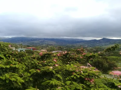 Pavas - Photo 5