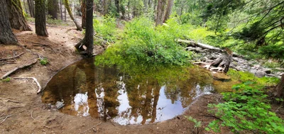 Tahoe City - Photo 3