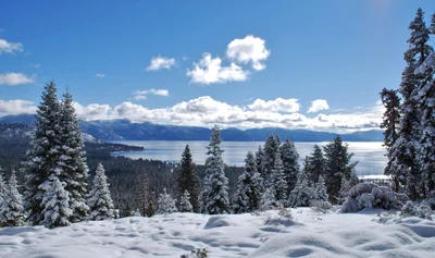 Tahoe City - Photo 5