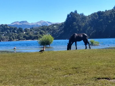 Province of Neuquen - Photo 4