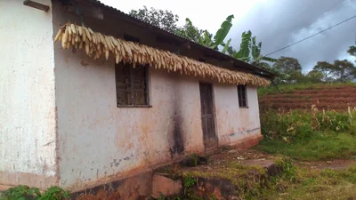 Kigoma - Photo 3
