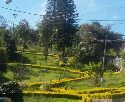 Fomeque - Photo 5