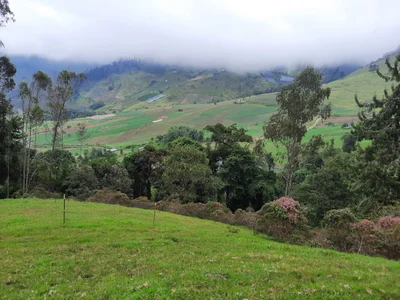 El Cerrito - Photo 3