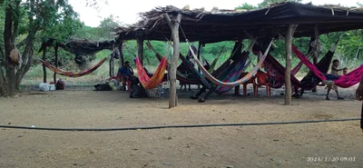 Barrancas - Photo 5