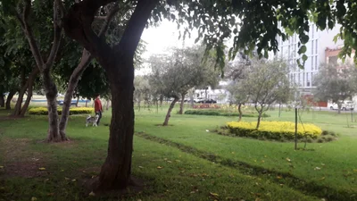 San Borja - Photo 3