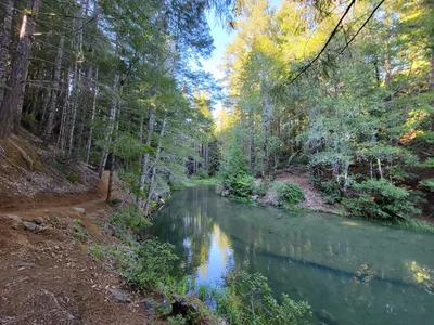 Ukiah - Photo 4