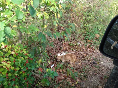 Elizabethtown - Photo 2