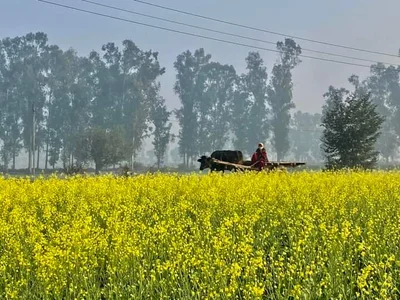 Sultanpur - Photo 4