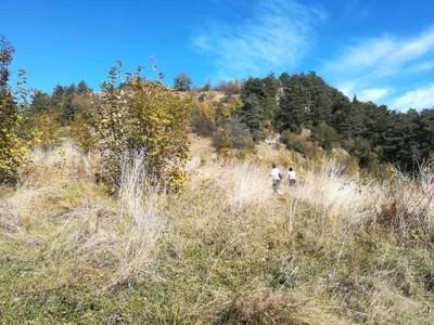Central Romania - Photo 2
