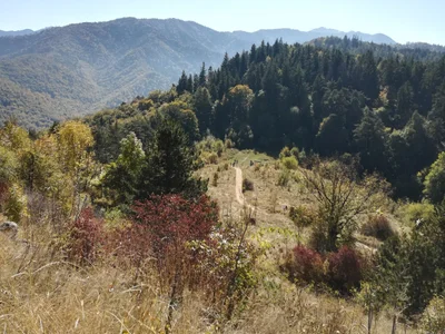 Central Romania - Photo 3