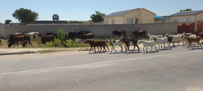 Oshakati - Photo 2