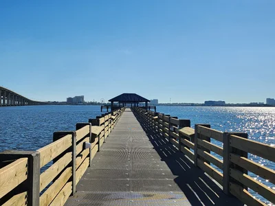 Ocean Springs - Photo 2