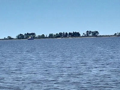 Ocean Springs - Photo 4