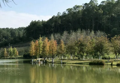Yunfu - Photo 4