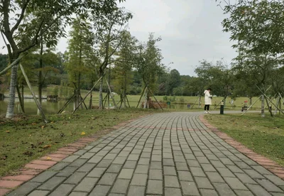 Yunfu - Photo 5