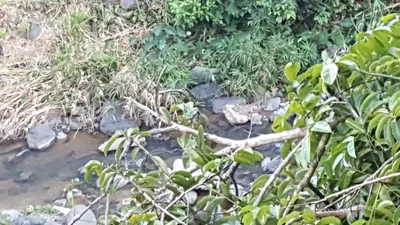 Orocovis - Photo 5