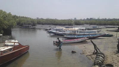 Lamin - Photo 4