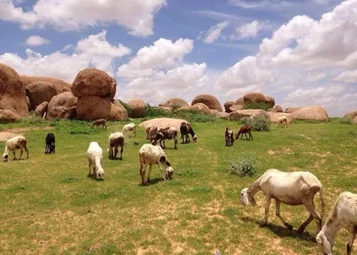 Zinder - Photo 2