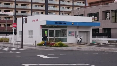 Shingu - Photo 4