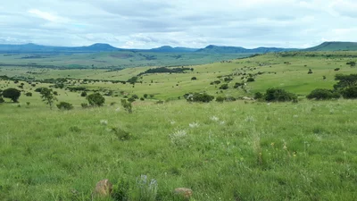 eMadlangeni Local Municipality - Photo 4